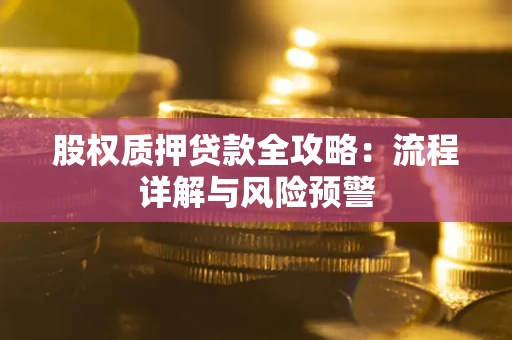 北京股权质押贷款全攻略：流程详解与风险预警
