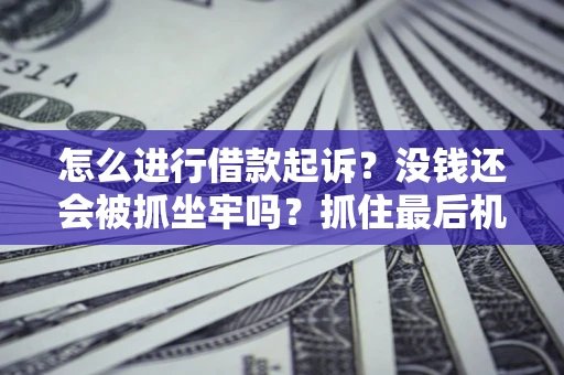 北京怎么进行借款起诉？没钱还会被抓坐牢吗？抓住最后机会！