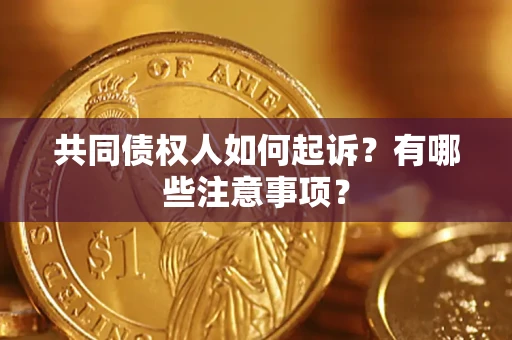 北京共同债权人如何起诉？有哪些注意事项？