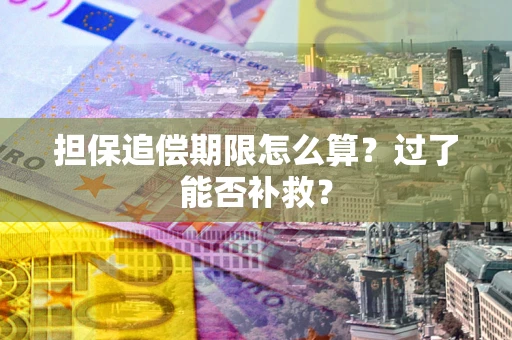 北京担保追偿期限怎么算？过了能否补救？